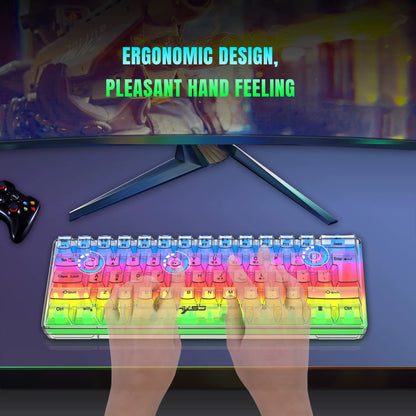 60% Wired Transparent Gaming Keyboard, RGB Backlit Ultra-Compact Waterproof Small Compact 61 Keys Keyboard for Pc/Mac